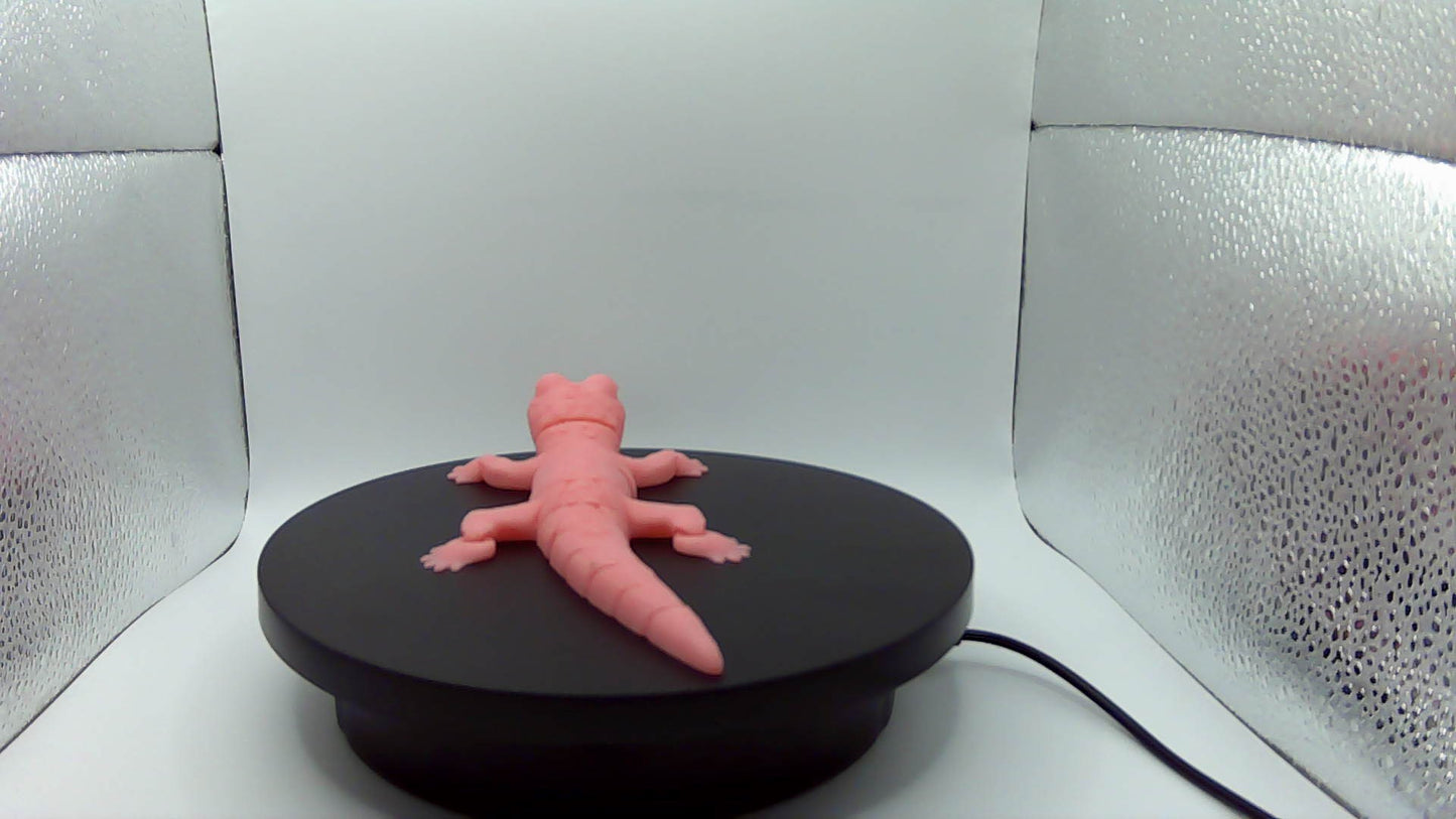 3D Printed Articulating Lizard Small