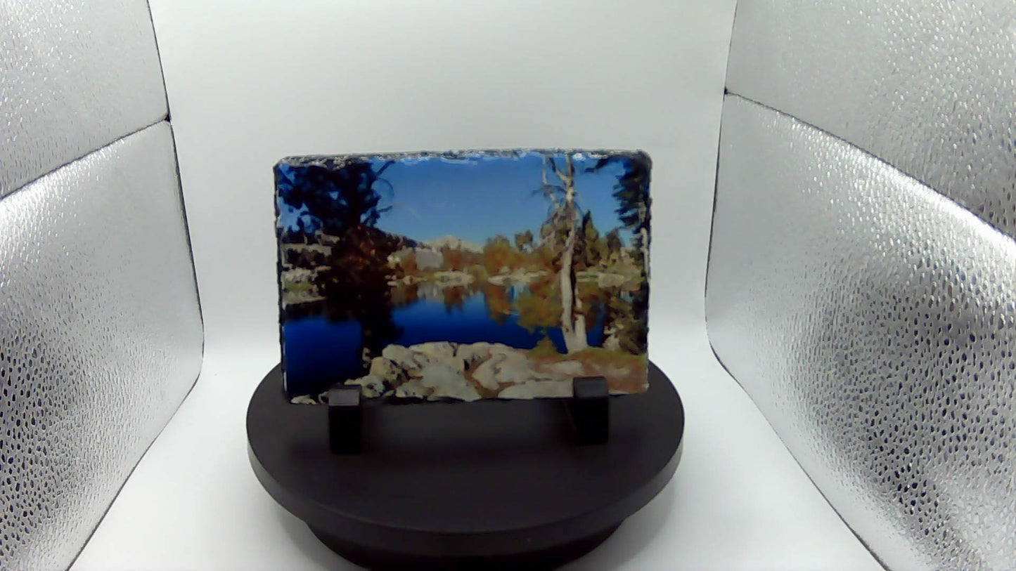 Sublimation Printed Sleight