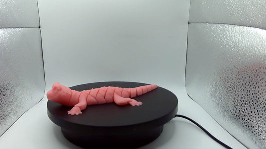 3D Printed Articulating Lizard Small