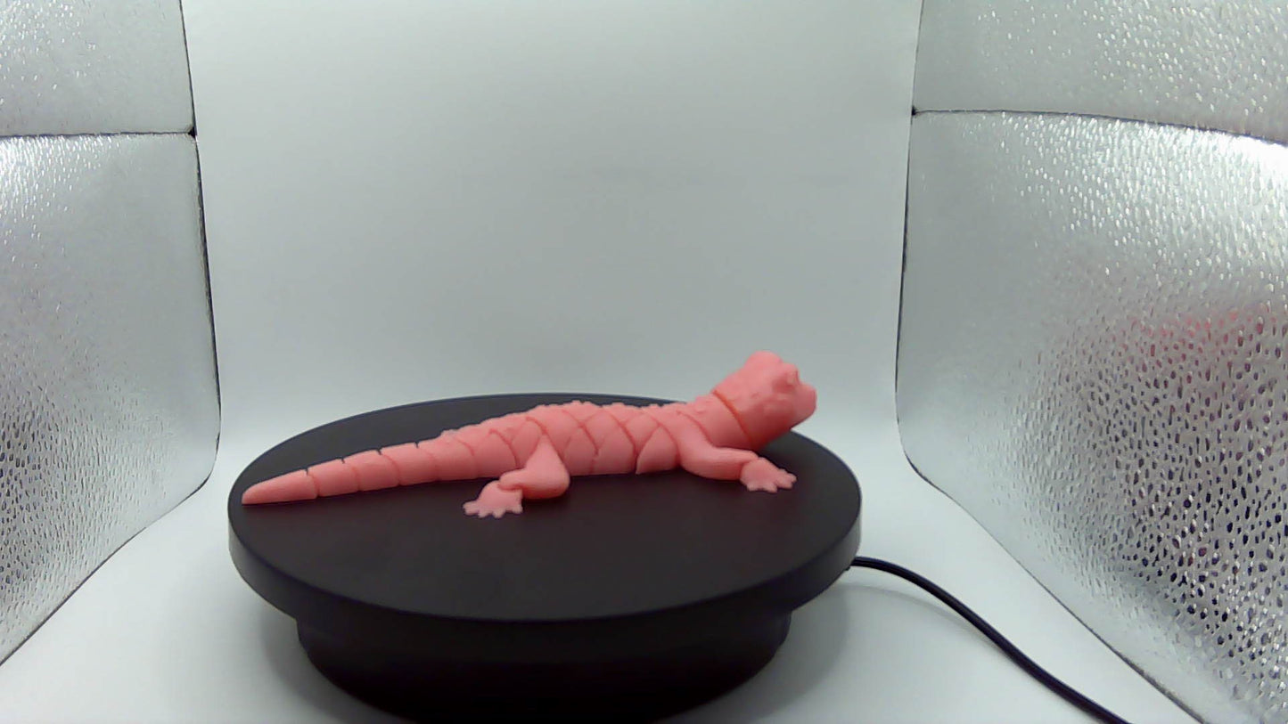 3D Printed Articulating Lizard Small