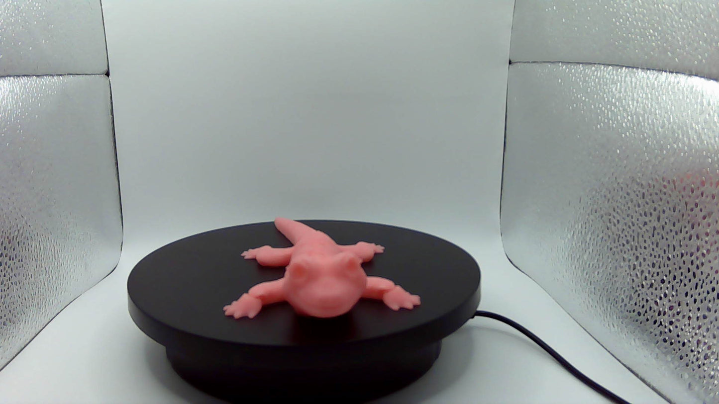 3D Printed Articulating Lizard Small