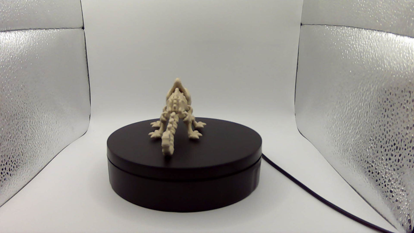 3D Printed Skeleton Chameleon