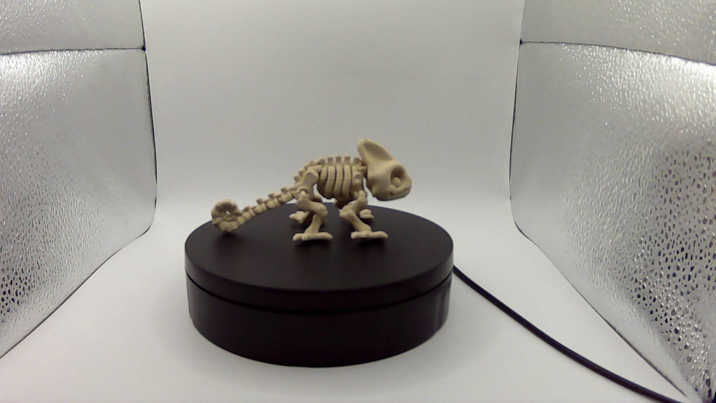 3D Printed Skeleton Chameleon