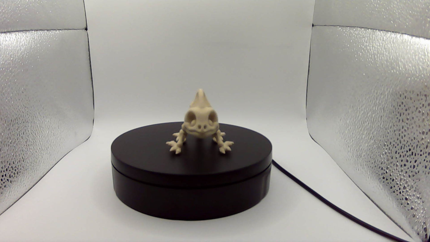 3D Printed Skeleton Chameleon