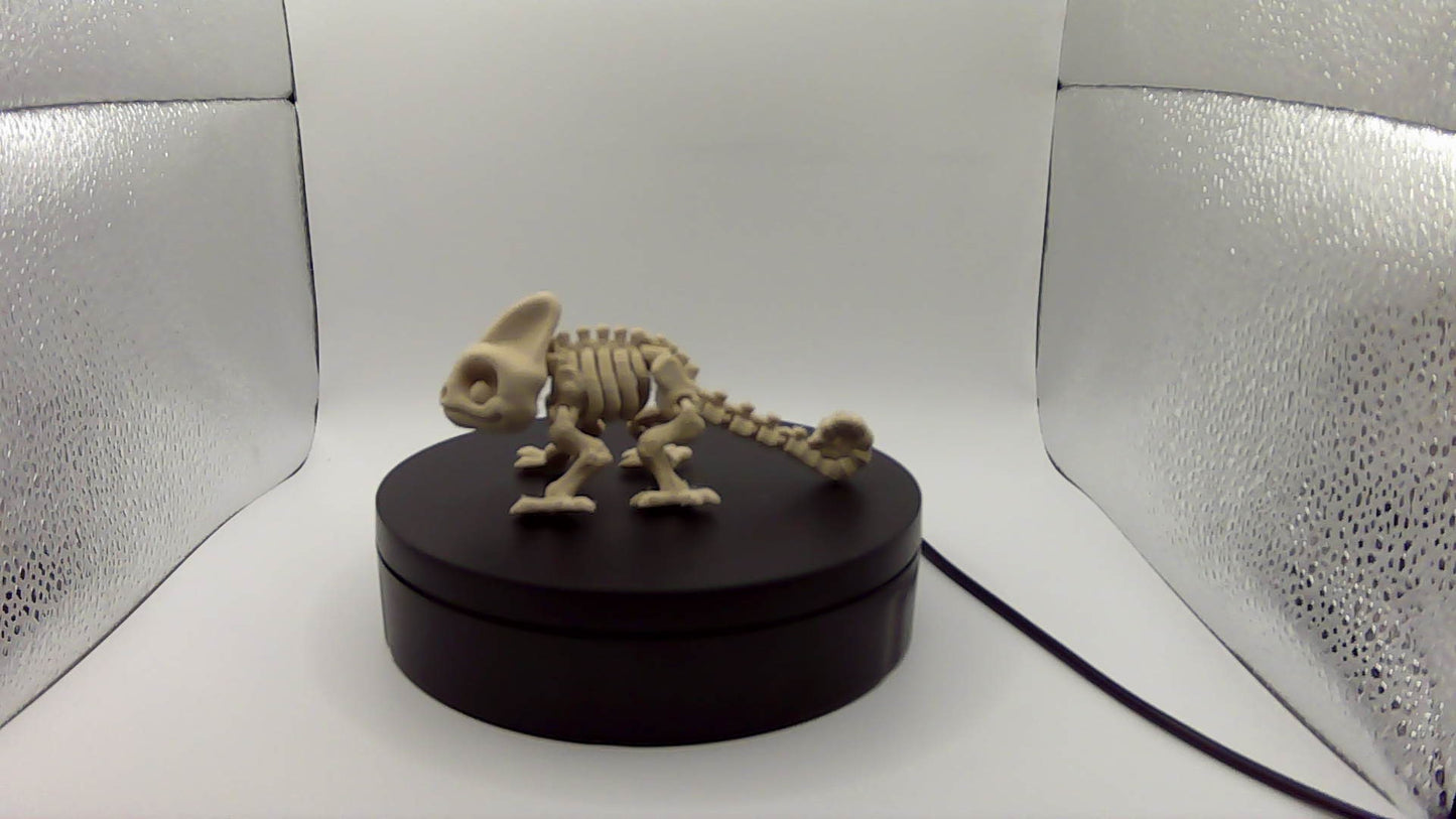3D Printed Skeleton Chameleon