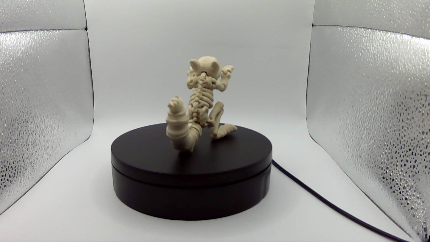 3D Printed Skeleton Squirl
