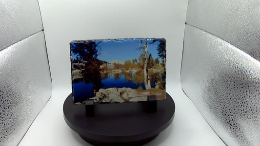 Sublimation Printed Sleight
