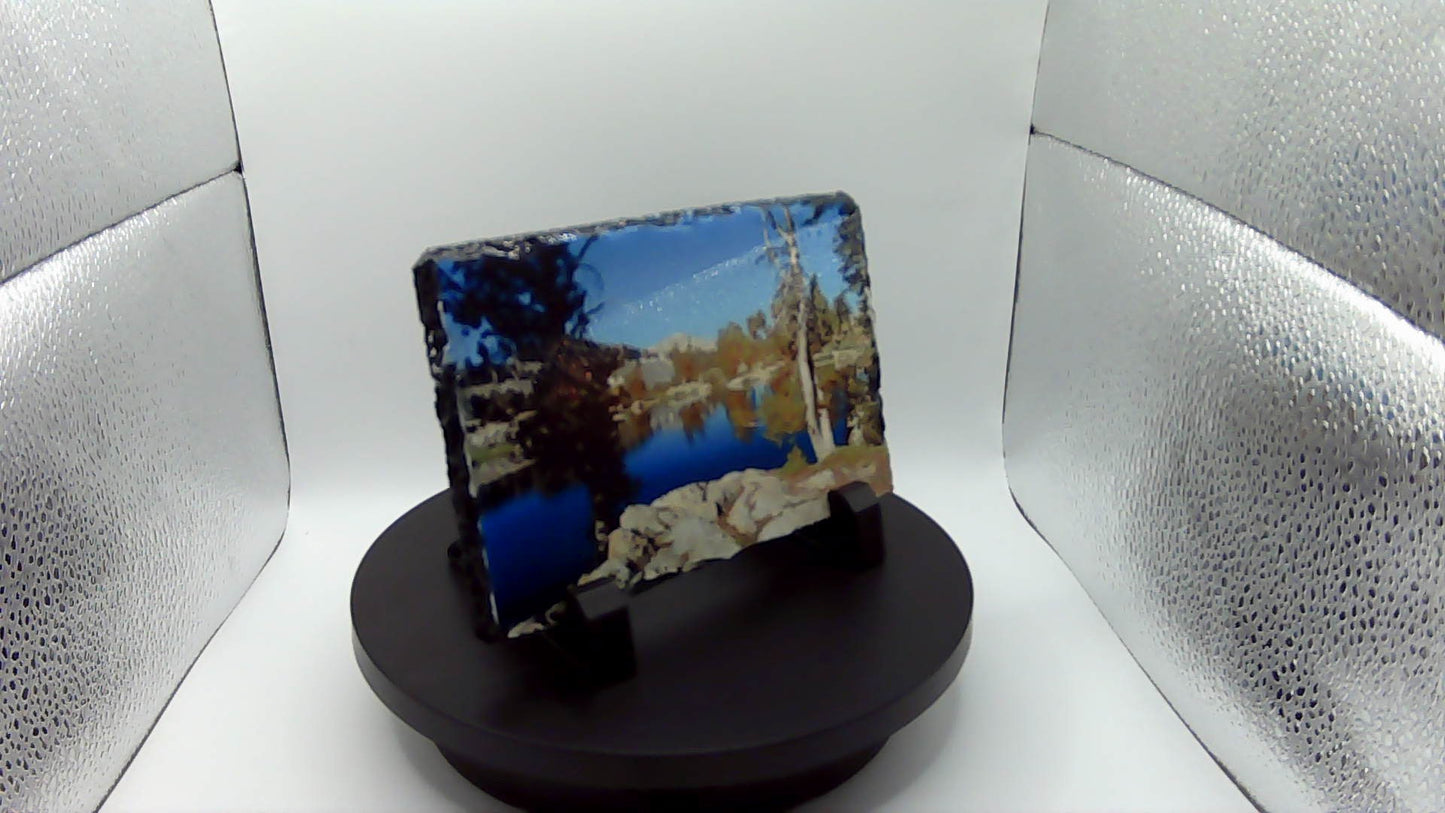 Sublimation Printed Sleight