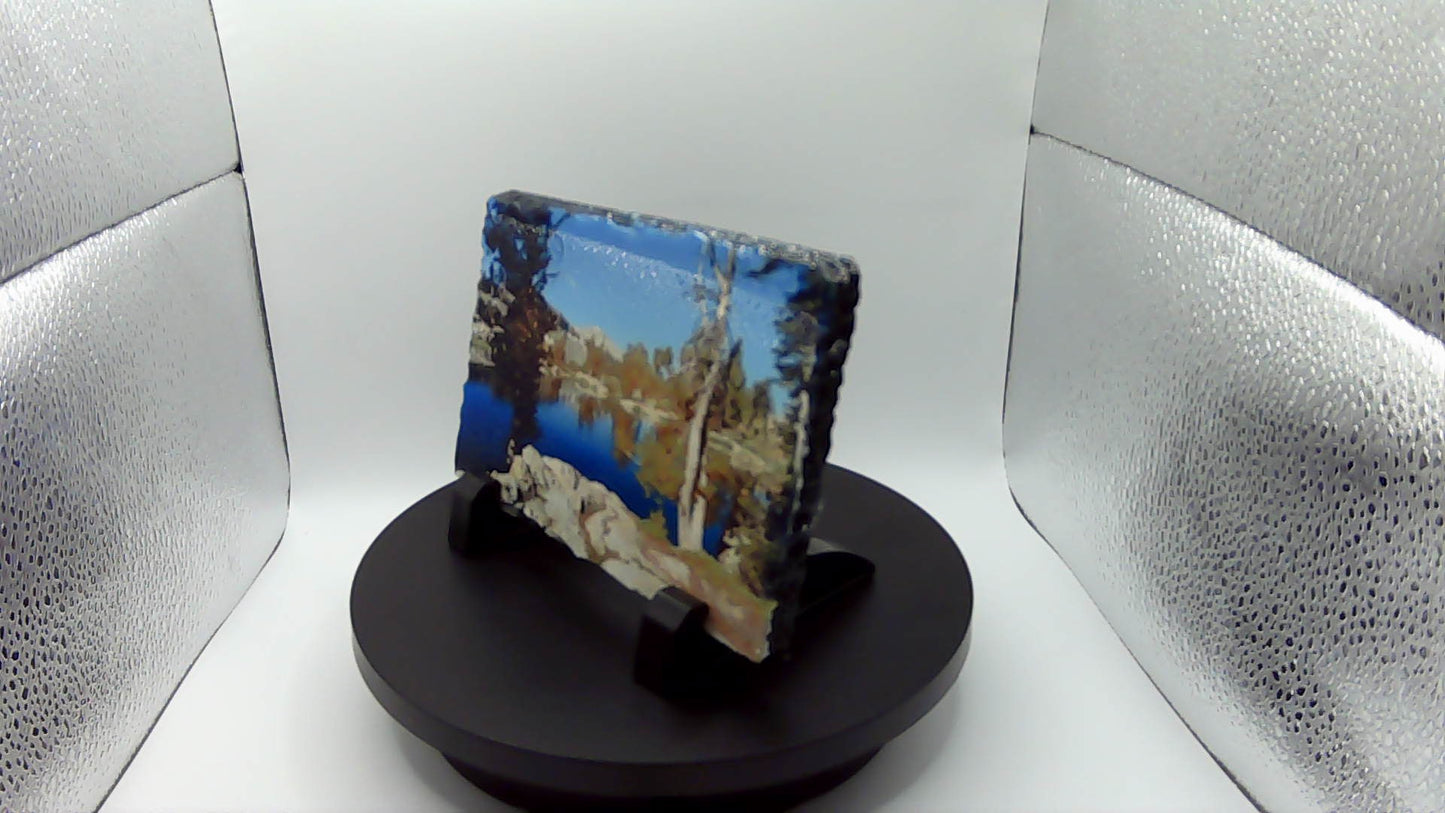 Sublimation Printed Sleight